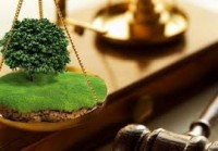 Право довічного успадкованого володіння земельною ділянкою для ведення селянського (фермерського) господарства входить до складу спадщини