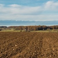 Що змінилося у земельному законодавстві: 8 головних нововведень.