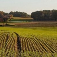 Земельні спори фермерських господарств: практика визначення юрисдикції