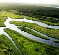 Звернення прокурора з позовом про скасування наказу держгеокадастру, якого вказано в якості співвідповідача, обґрунтовує відсутність органу, уповноваженого державою здійснювати функції захисту